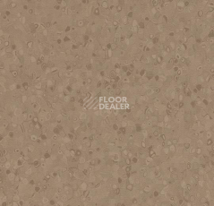 Линолеум Forbo Sphera Element 50025 earth фото 1 | FLOORDEALER
